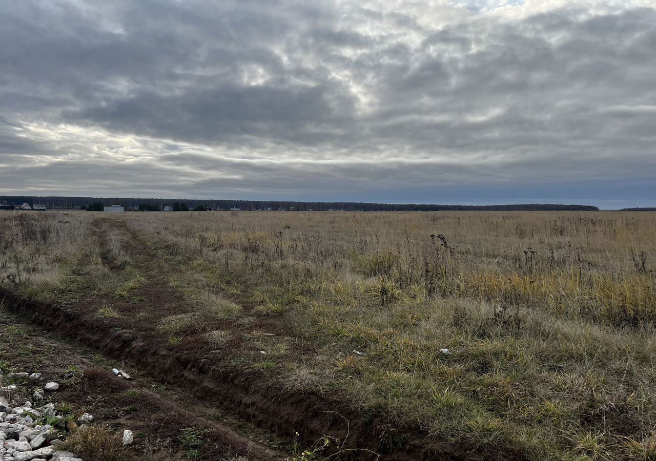 земля городской округ Раменский 52 км, дп. Давыдово, Белоозёрский, Рязанское шоссе фото 3