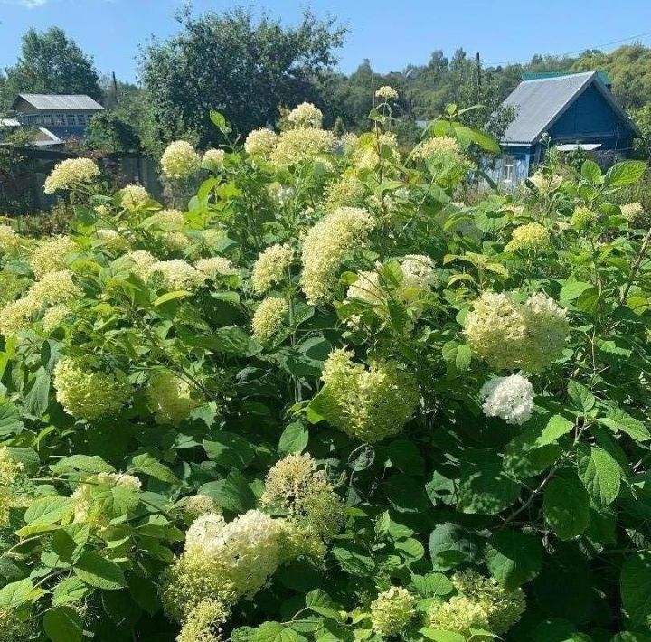 дом г Калуга р-н Московский снт Родник фото 8