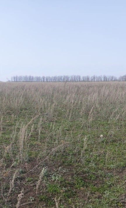земля р-н Азнакаевский г Азнакаево ул Тургай городское поселение Азнакаево фото 5