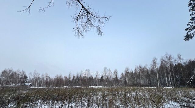 земля с Северское Коломна городской округ фото