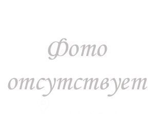 метро Пражская проезд Востряковский 17к/1 муниципальный округ Бирюлёво Западное фото