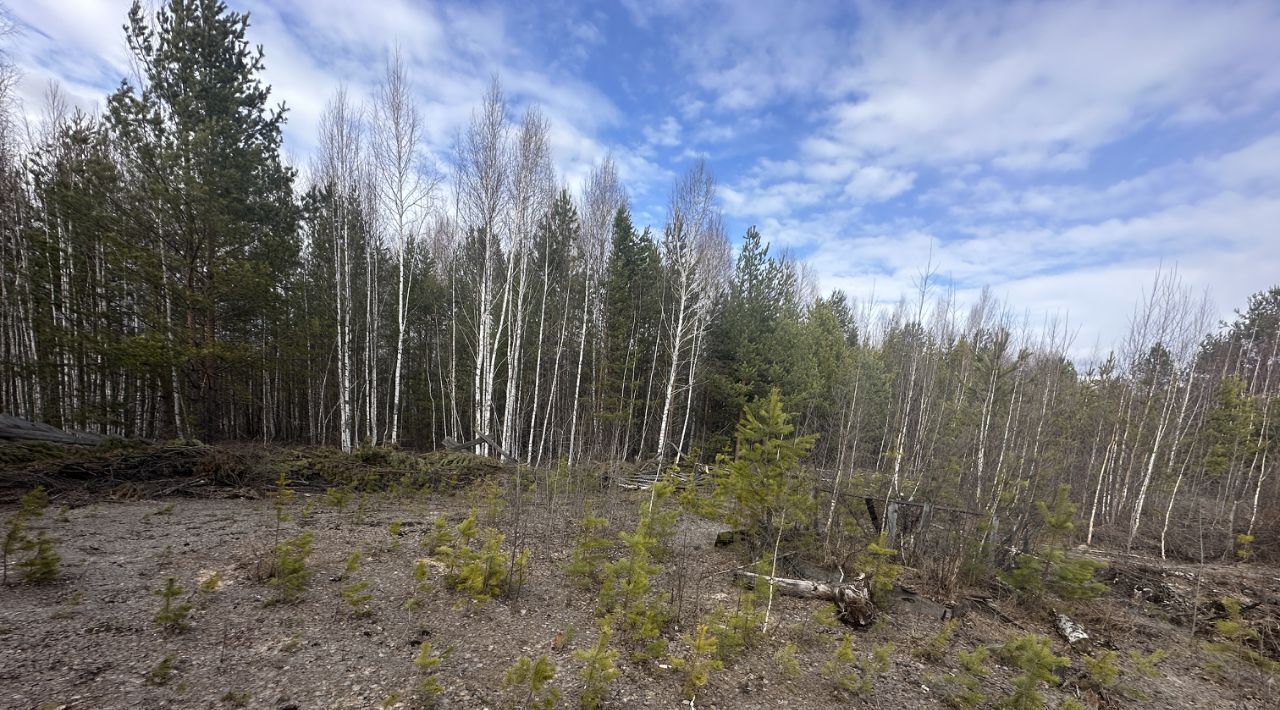 земля г Екатеринбург р-н Чкаловский снт Ветеран-3 фото 8