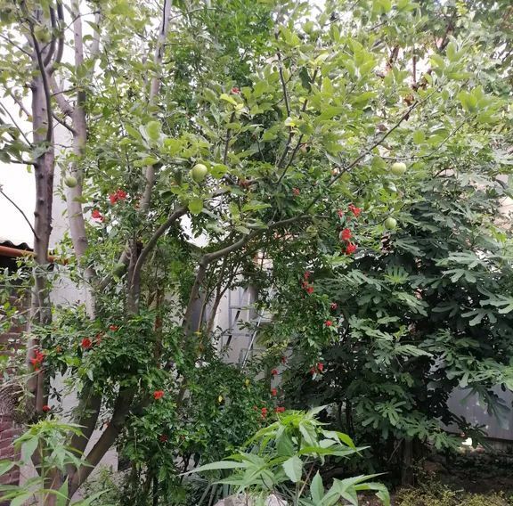 комната г Феодосия пер Автобусный 5 фото 4