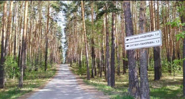 пл. Торговая фото