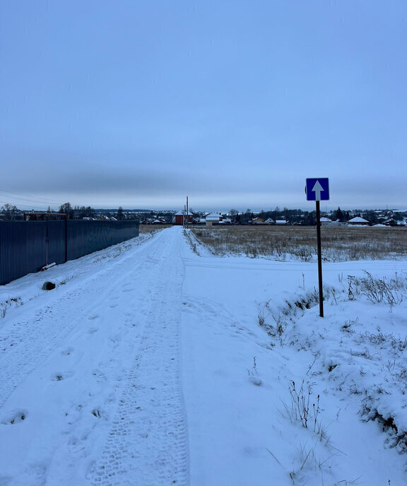 земля городской округ Раменский дачный посёлок Давыдово фото 1