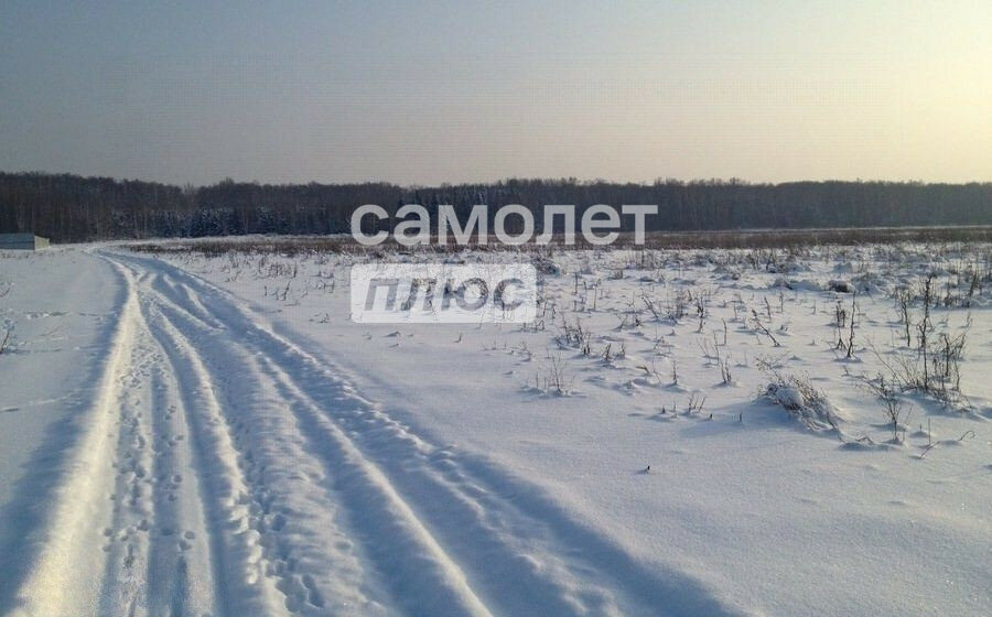 офис р-н Мошковский с Томилово Кайлинский сельсовет фото 1