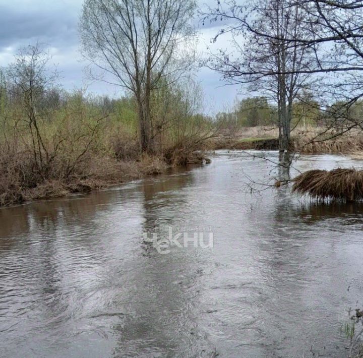 дом р-н Богородский д Еловицы ул Заречная 7а фото 16