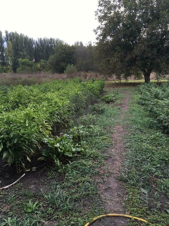 земля р-н Динской ст-ца Нововеличковская Russia, Novovelichkovskaya, Ulitsa Naberezhnaya фото 11