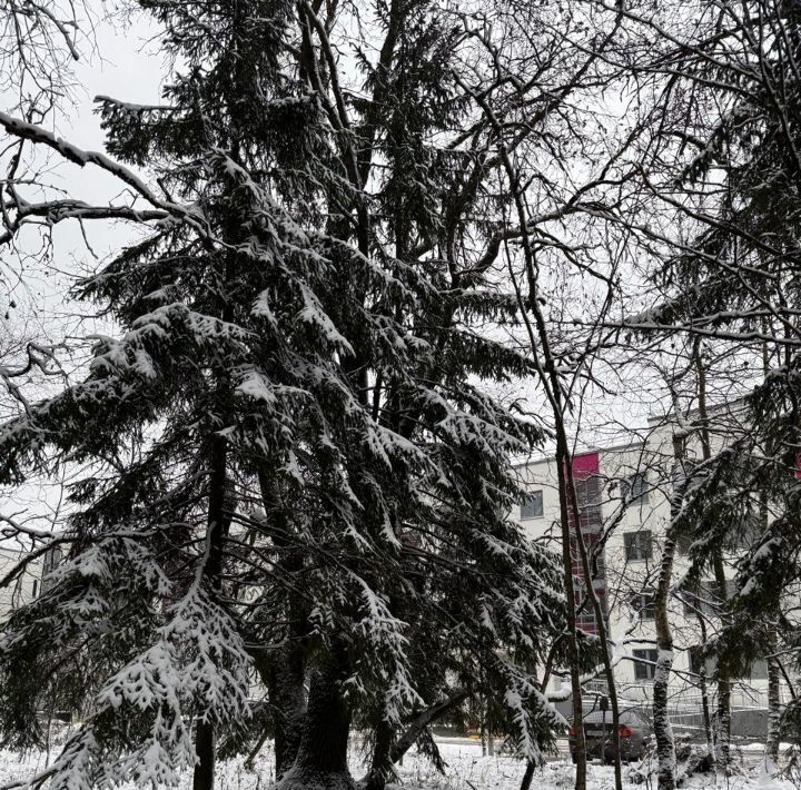 квартира городской округ Солнечногорск д Брёхово ЖК «Митино Дальнее» 14 Зеленоград — Крюково, Химки городской округ фото 13