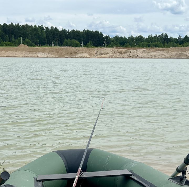 земля городской округ Богородский д Следово фото 6