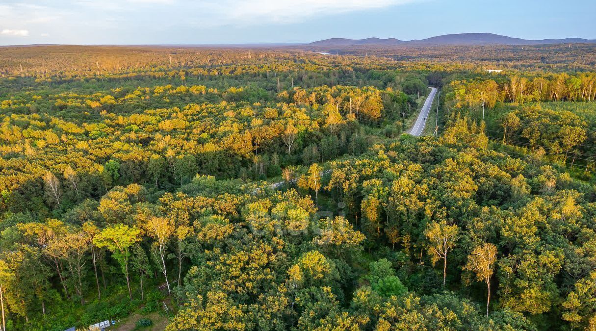 земля р-н Хабаровский с Некрасовка Дубовая Роща кв-л фото 5