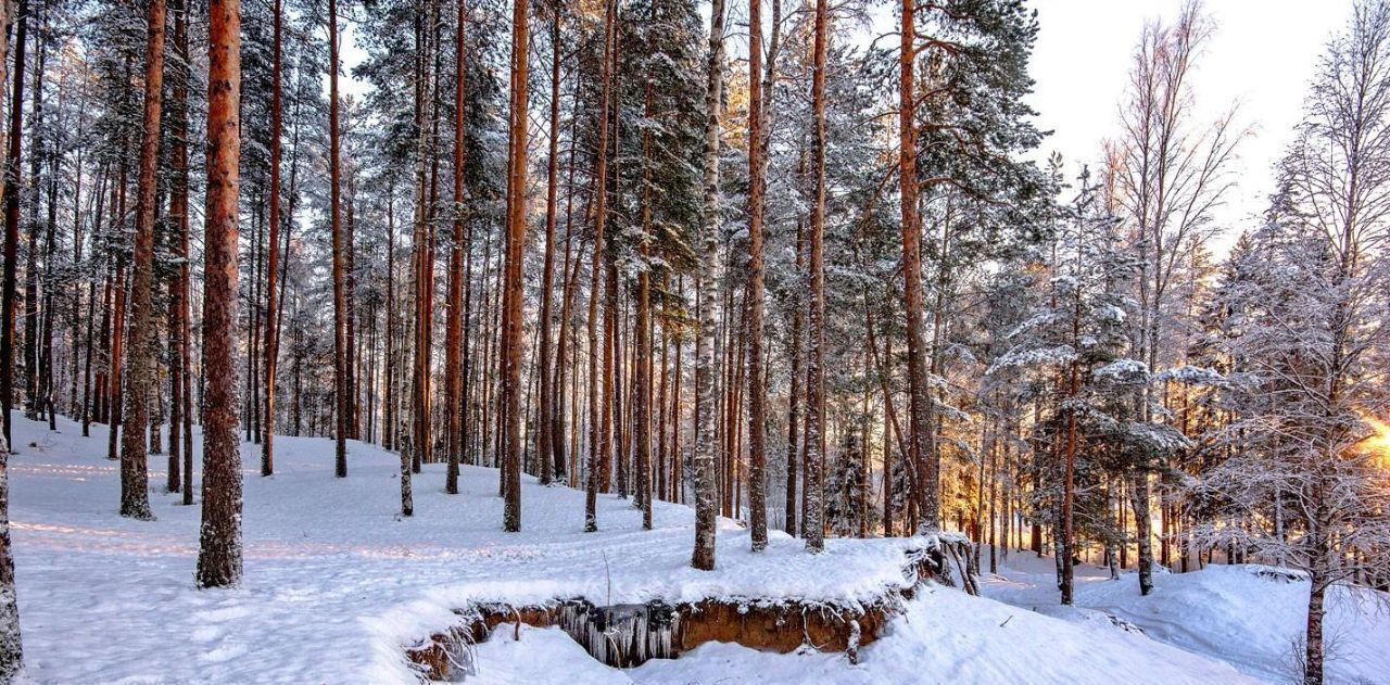 квартира г Воронеж р-н Железнодорожный ул Минская 69/1 фото 24