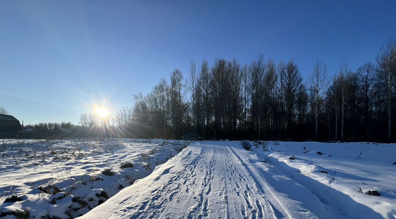 земля р-н Тюменский д Насекина ул Центральная фото 5