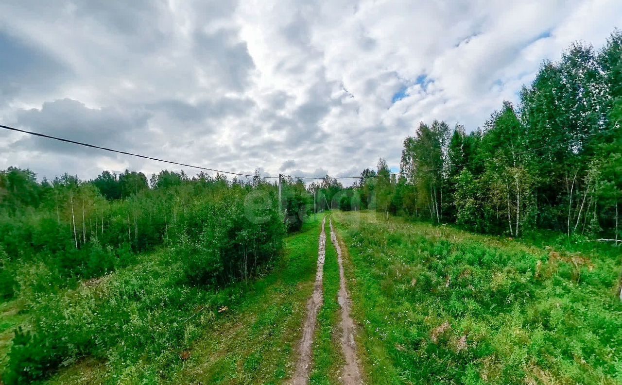 земля р-н Нижнетавдинский п Торгили мкр-н Северный, Каскара фото 5