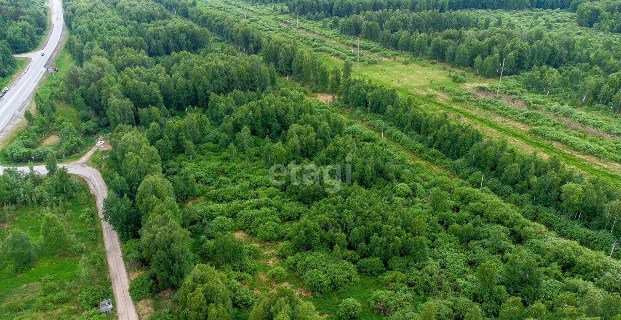 земля р-н Нижнетавдинский снт тер.Разбахта Тюмень фото 25