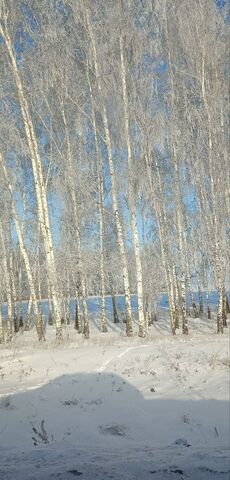 земля ул Центральная Красноярский тракт, 24 км, Надеждинское сельское поселение, Омск фото