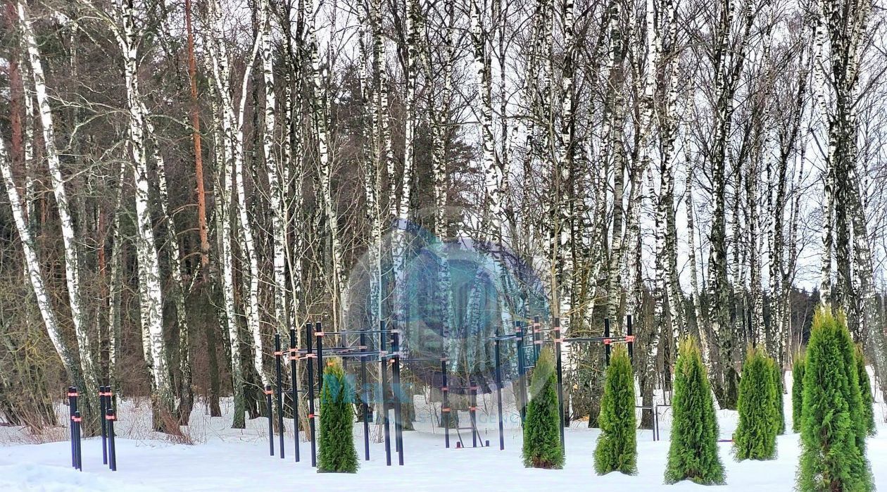 земля городской округ Сергиево-Посадский д Бор Домодедово, Подольск фото 4