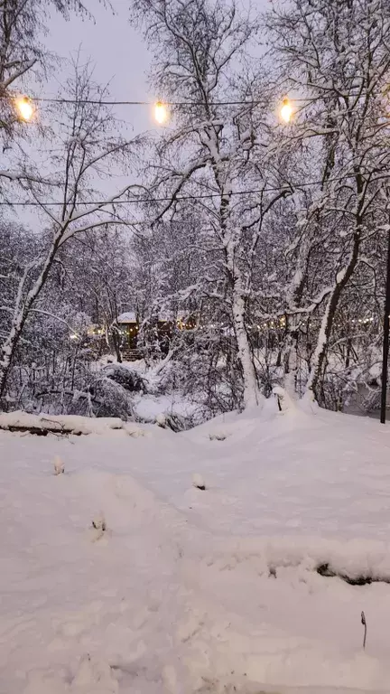 дом городской округ Можайский д Малое Новосурино б/н, Можайск фото 11