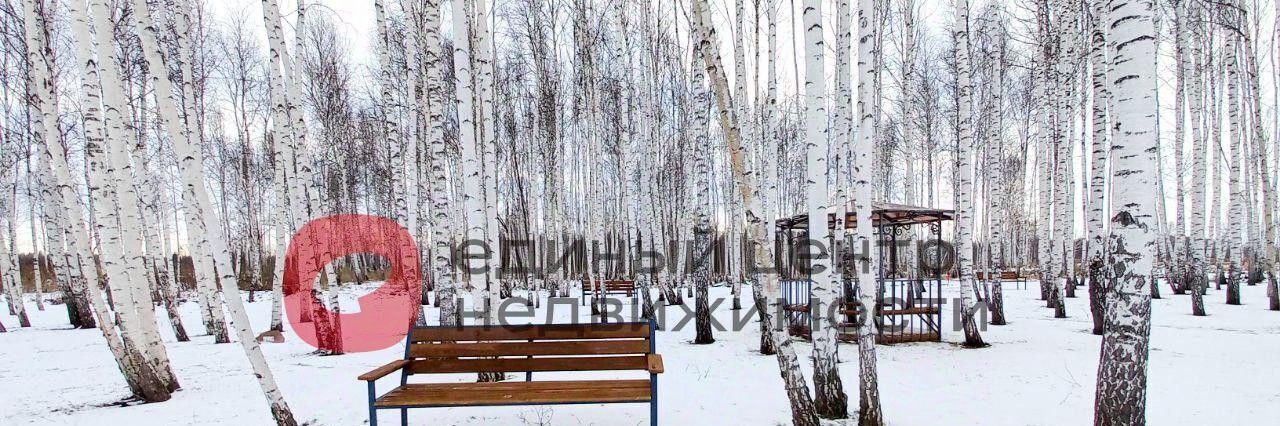 земля г Тюмень р-н Центральный снт Строитель-3 ул Липовая фото 4
