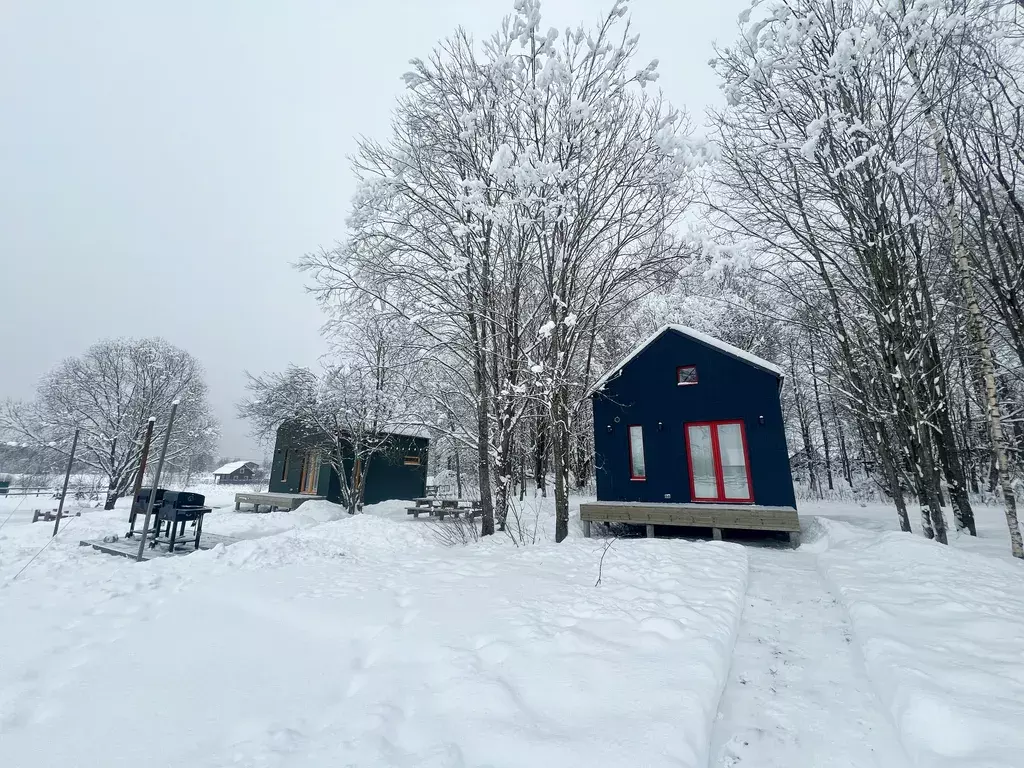 дом р-н Приозерский д Васильево ул Васильковая 5 фото 26