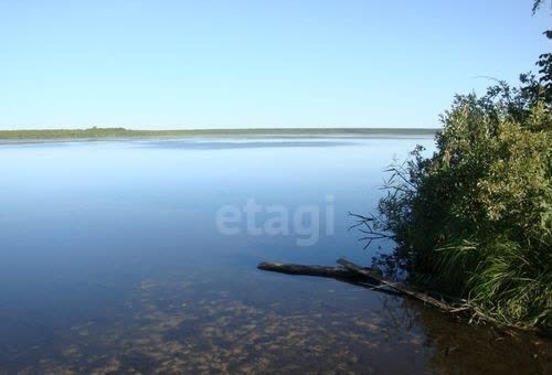 земля р-н Нижнетавдинский коттеджный пос. Земляника, Тюмень фото 12