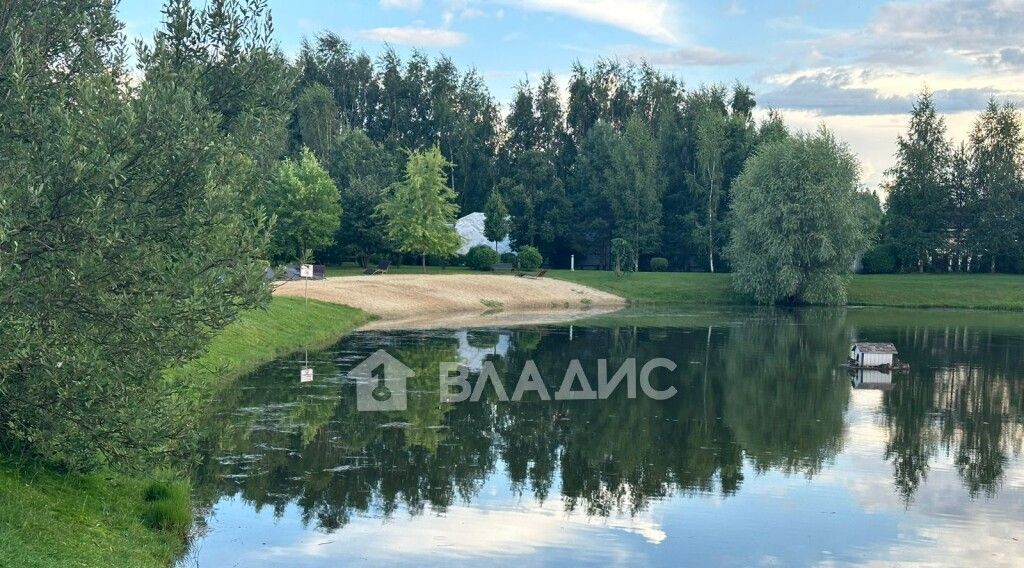 земля городской округ Истра д Покровское Нахабино, ул. 3-я Рождественская фото 6