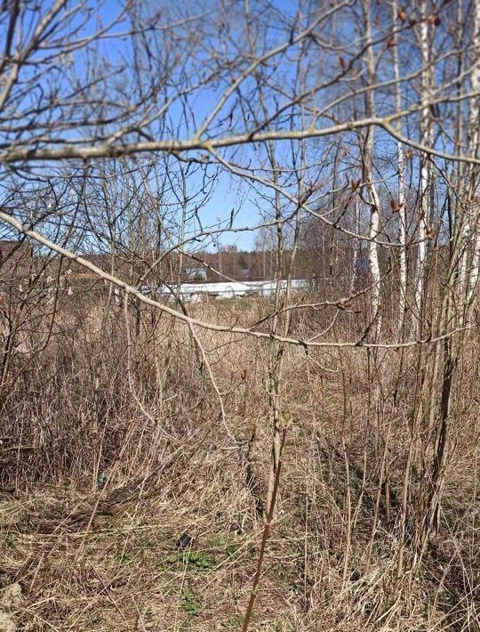 земля р-н Рыбинский г Рыбинск снт Левый берег N 8 108В фото 10