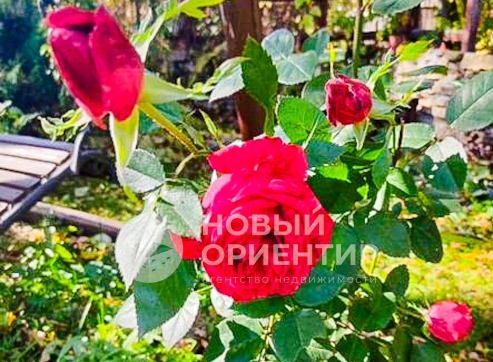 дом г Екатеринбург Геологическая снт Березовая Роща-1 фото 33