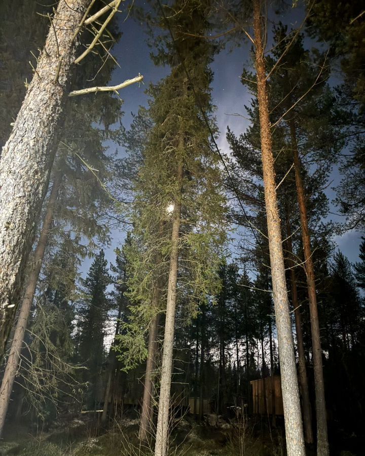 дом р-н Кольский пгт Мурмаши сельское поселение Тулома, садоводческое товарищество Деревенька фото 23