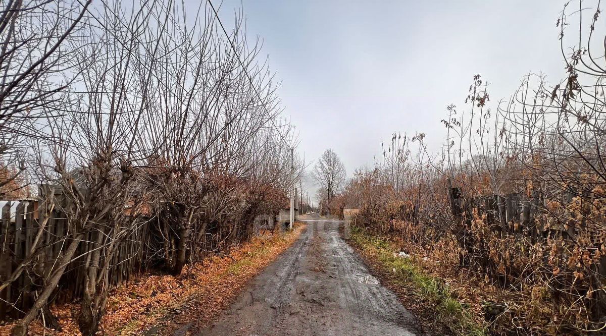 земля г Омск р-н Октябрьский снт Сибиряк аллея 1-я фото 4