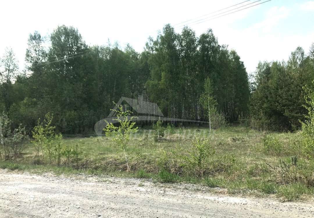 земля г Тюмень р-н Центральный мкр-н Березняковский, Березняковская ул фото 7