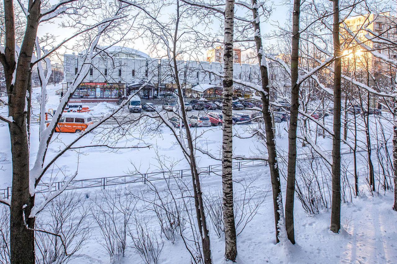 квартира г Санкт-Петербург Выборгская сторона ул Торжковская 24/1 Ленинградская область фото 12