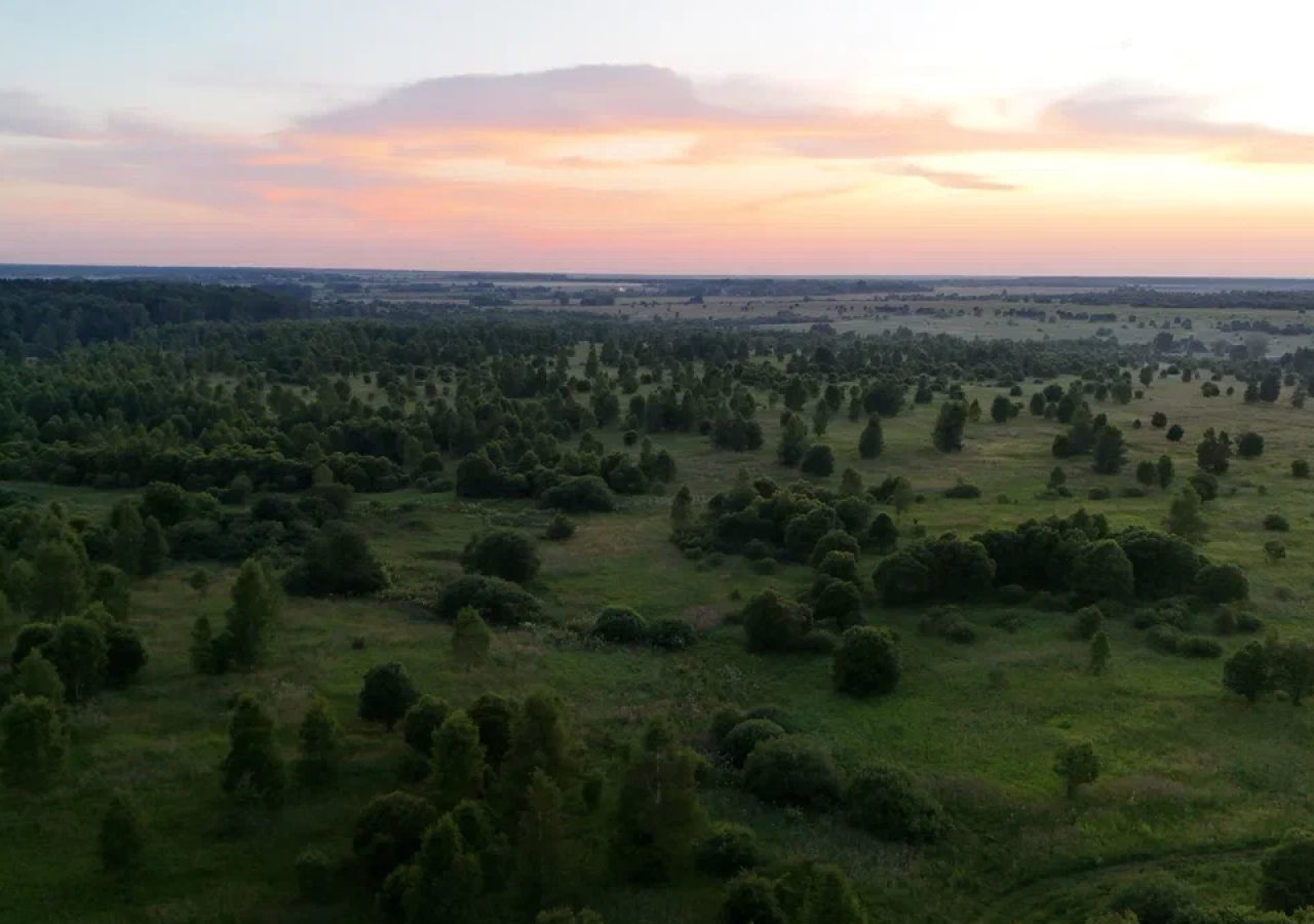 земля городской округ Ступино д Байдиково ул Центральная 21 63 км, г. о. Ступино, Малино, Новокаширское шоссе фото 4