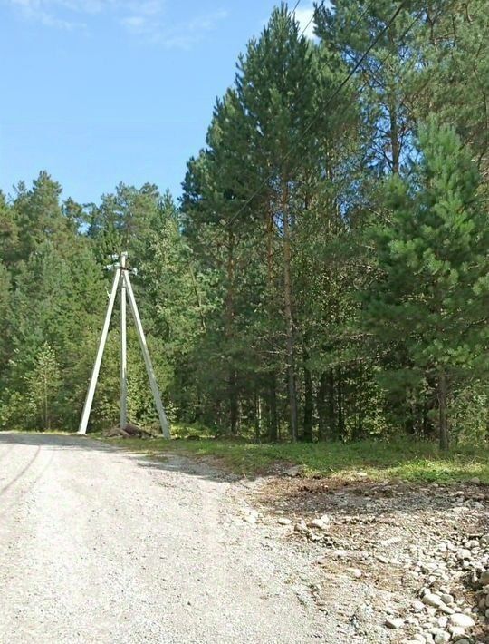 земля р-н Турочакский с Верх-Бийск ул Болотово фото 5