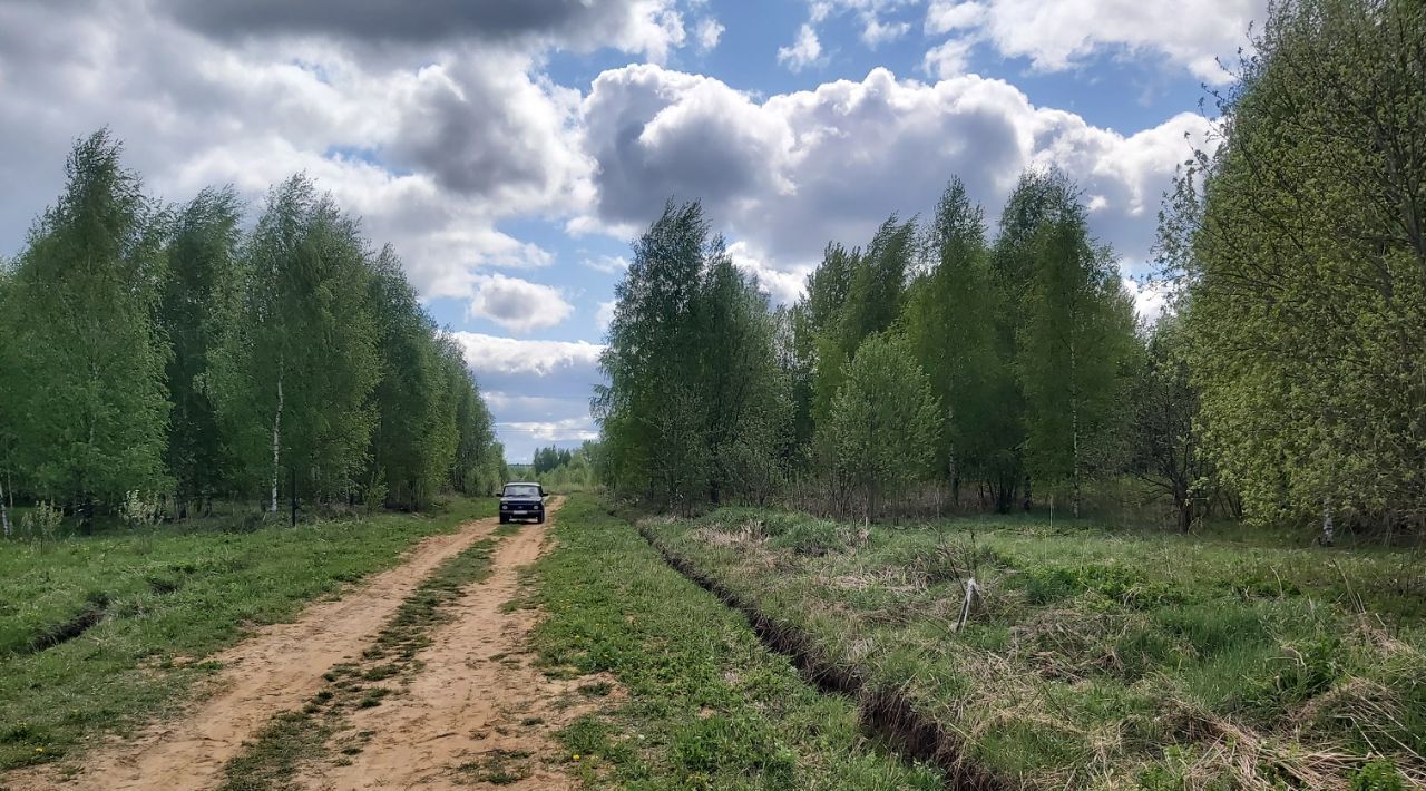 земля р-н Александровский дпк Вески муниципальное образование, Андреевское фото 12