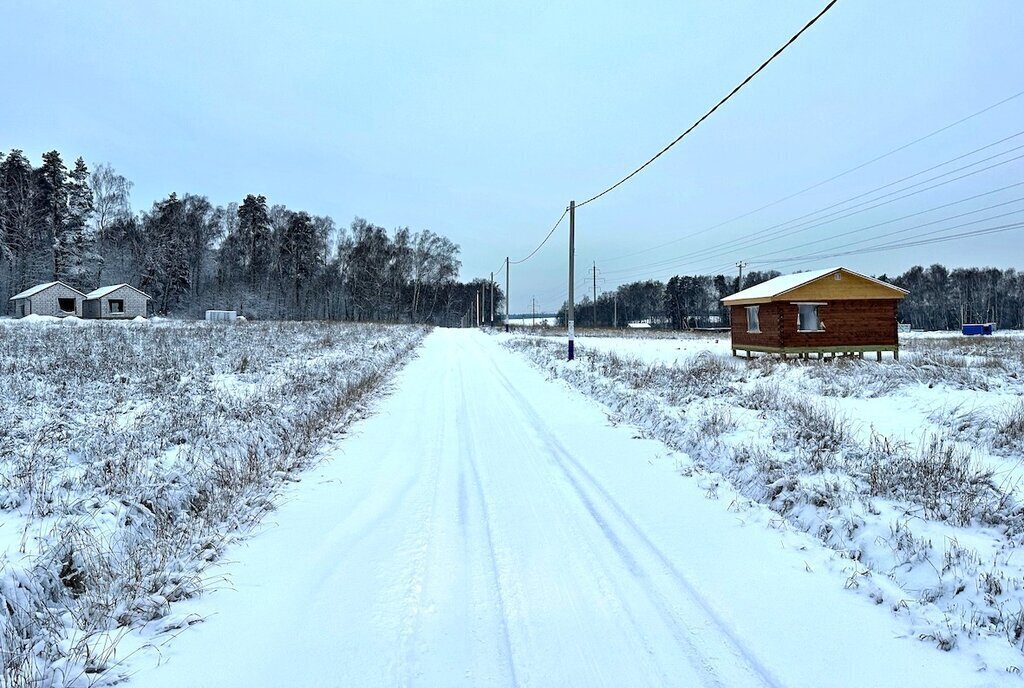 земля городской округ Дмитровский д Удино Лобня фото 4