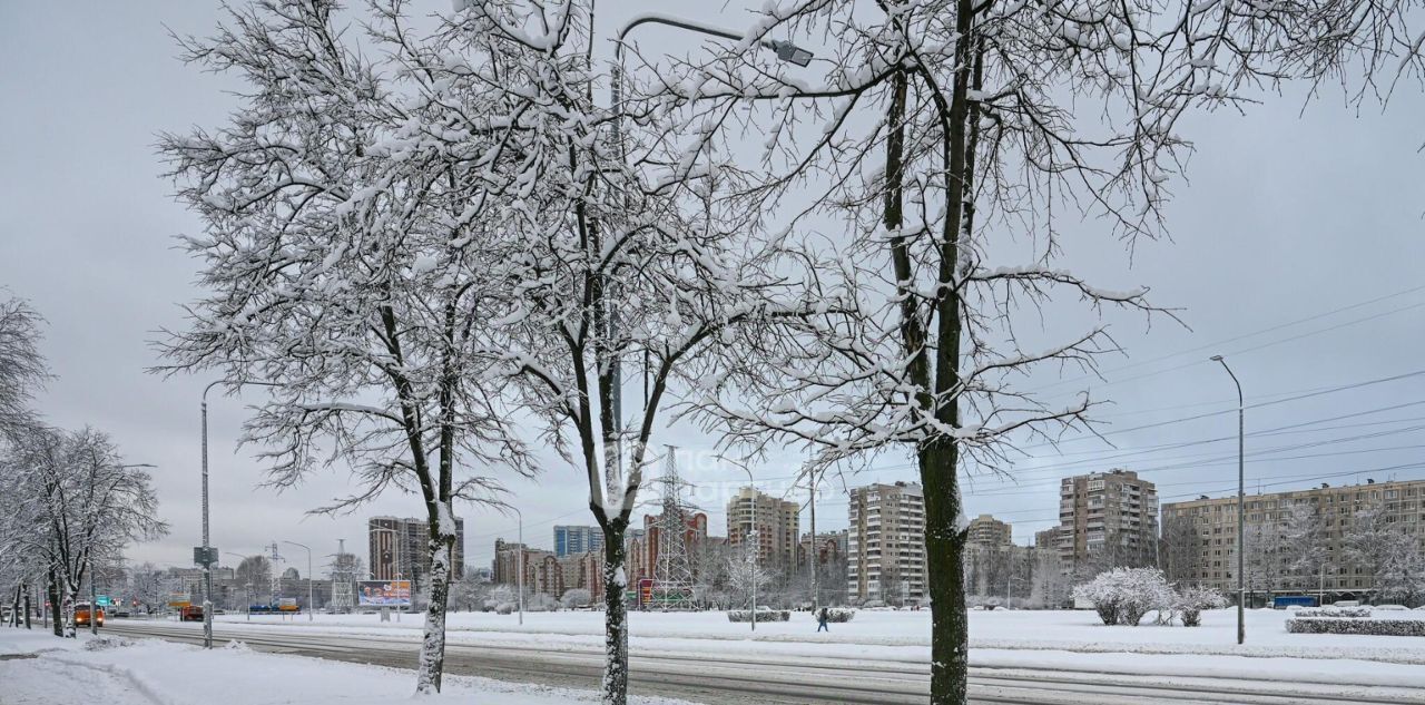 квартира г Санкт-Петербург метро Лесная пр-кт Маршала Блюхера 29 Финляндский округ фото 29