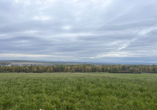 земля Шуваевский сельсовет, Красноярск фото