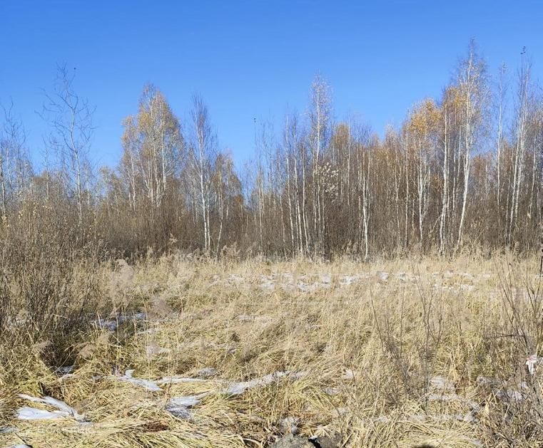 земля г Тюмень Тюмень городской округ, Центральный фото 1