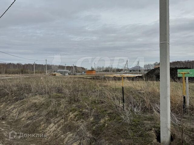 Тюмень городской округ, Береза парк. Квартал у леса фото