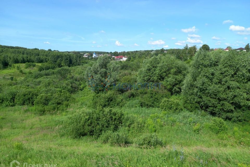 земля р-н Богородский с Доскино Центральная фото 2