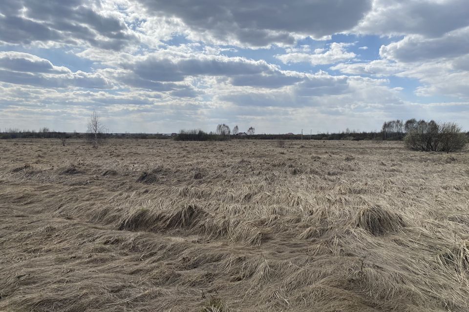 земля г Тюмень Тюмень городской округ, Центральный фото 8