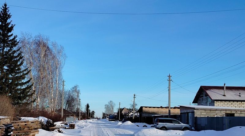 земля р-н Новосибирский ст Мочище ул Чкалова Станционный сельсовет фото 3