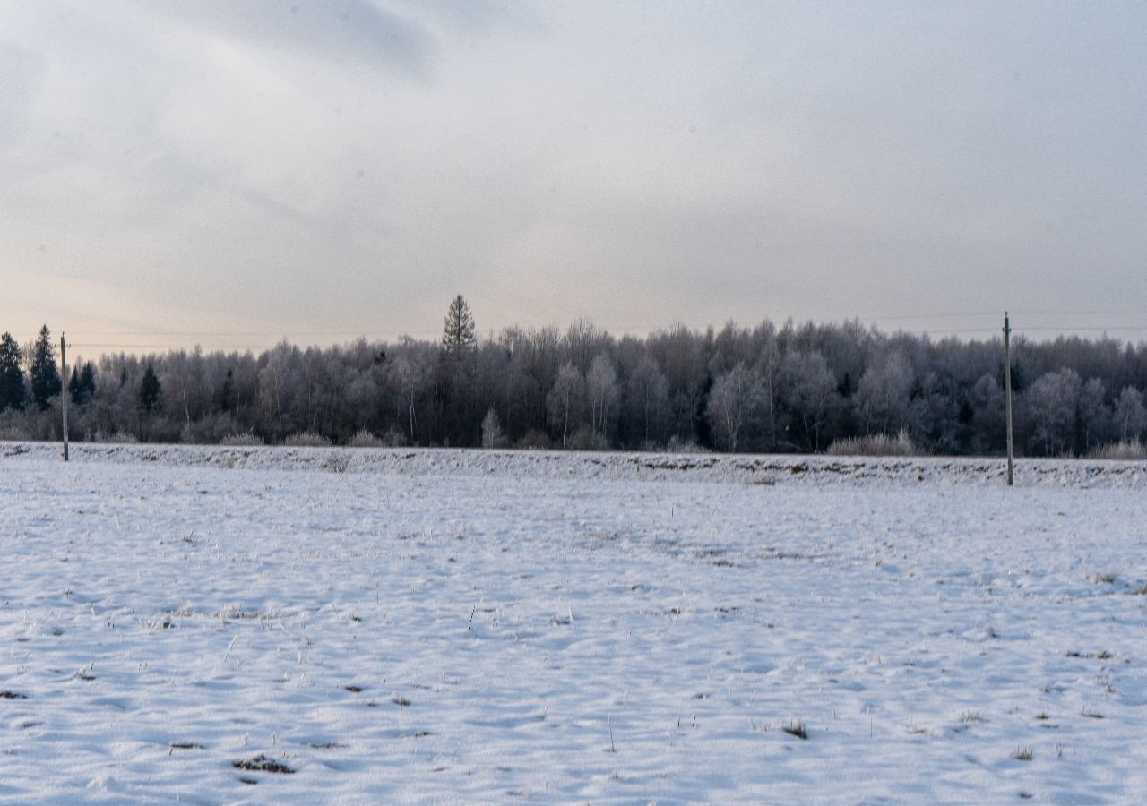 земля городской округ Шаховская с Белая Колпь 112 км, Новорижское шоссе фото 3