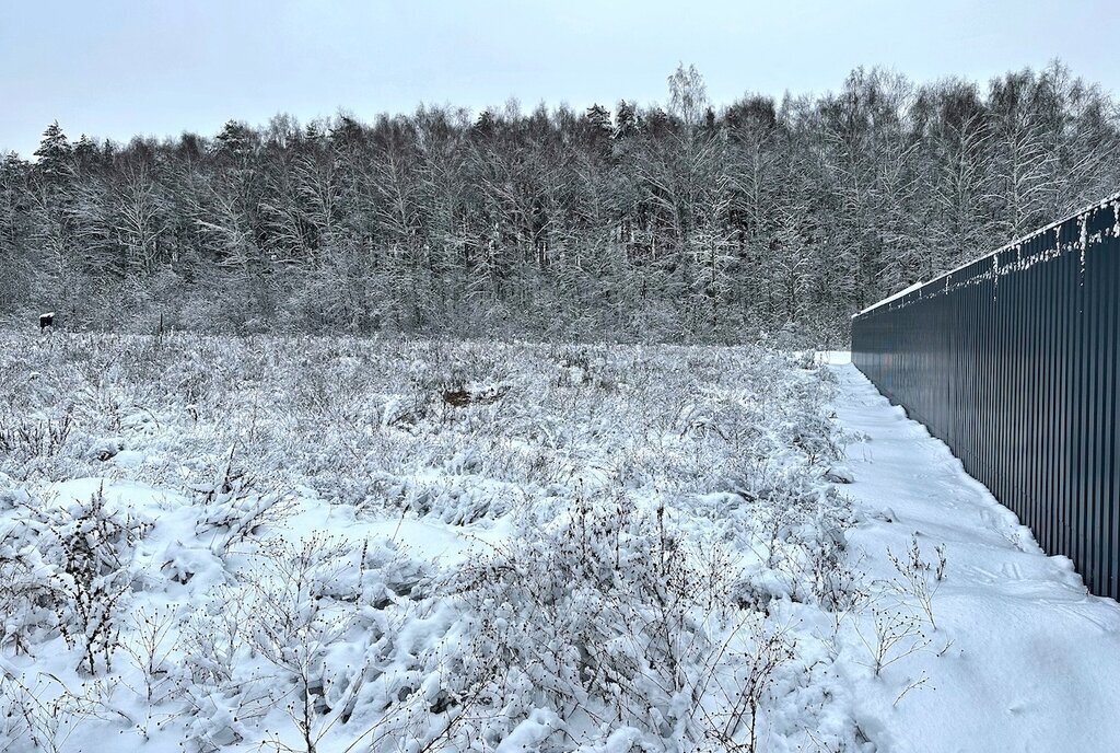 земля городской округ Дмитровский д Бабаиха Лобня фото 7