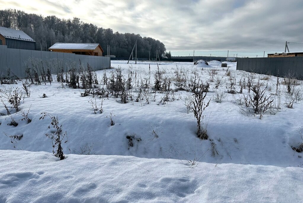 земля городской округ Дмитровский д Ассаурово фото 7