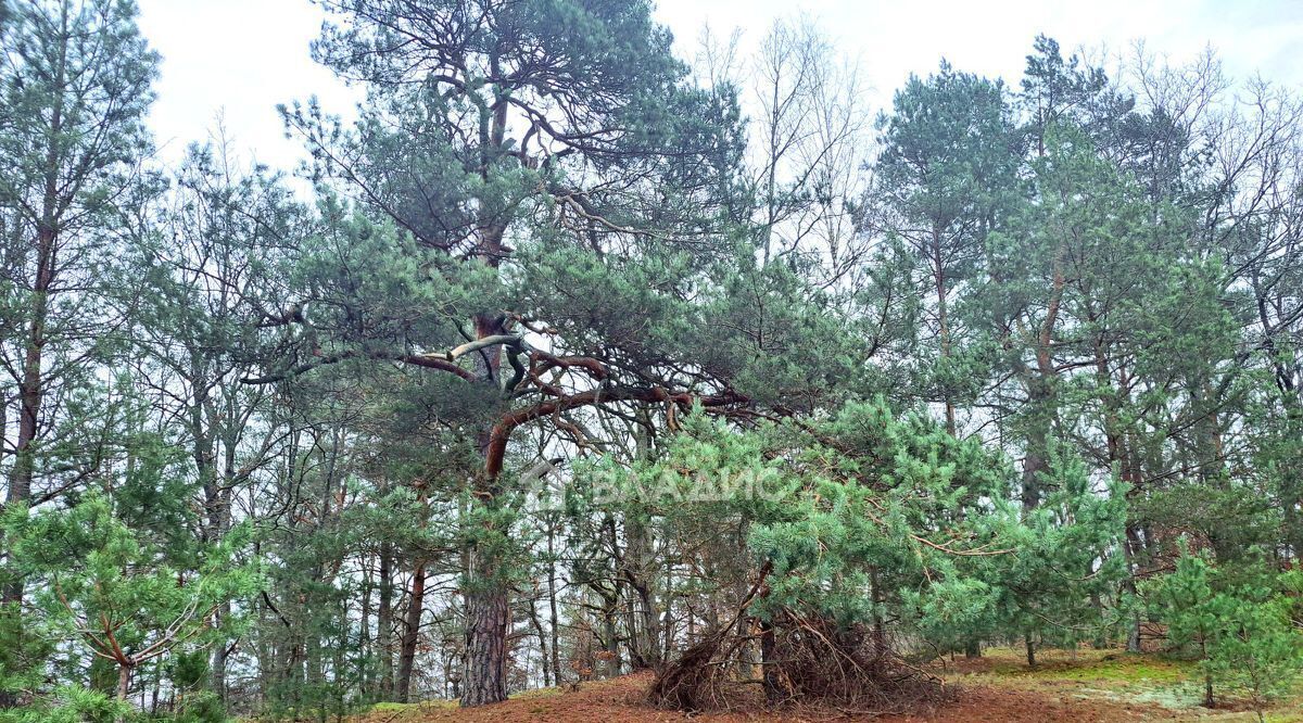 земля р-н Гурьевский п Березовка ул Дачная фото 1