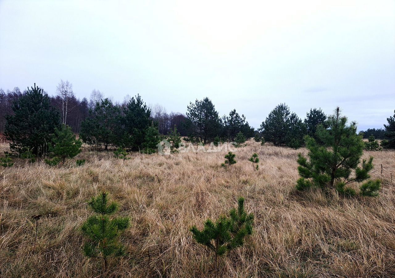 земля р-н Гвардейский п Березовка Гвардейск фото 1