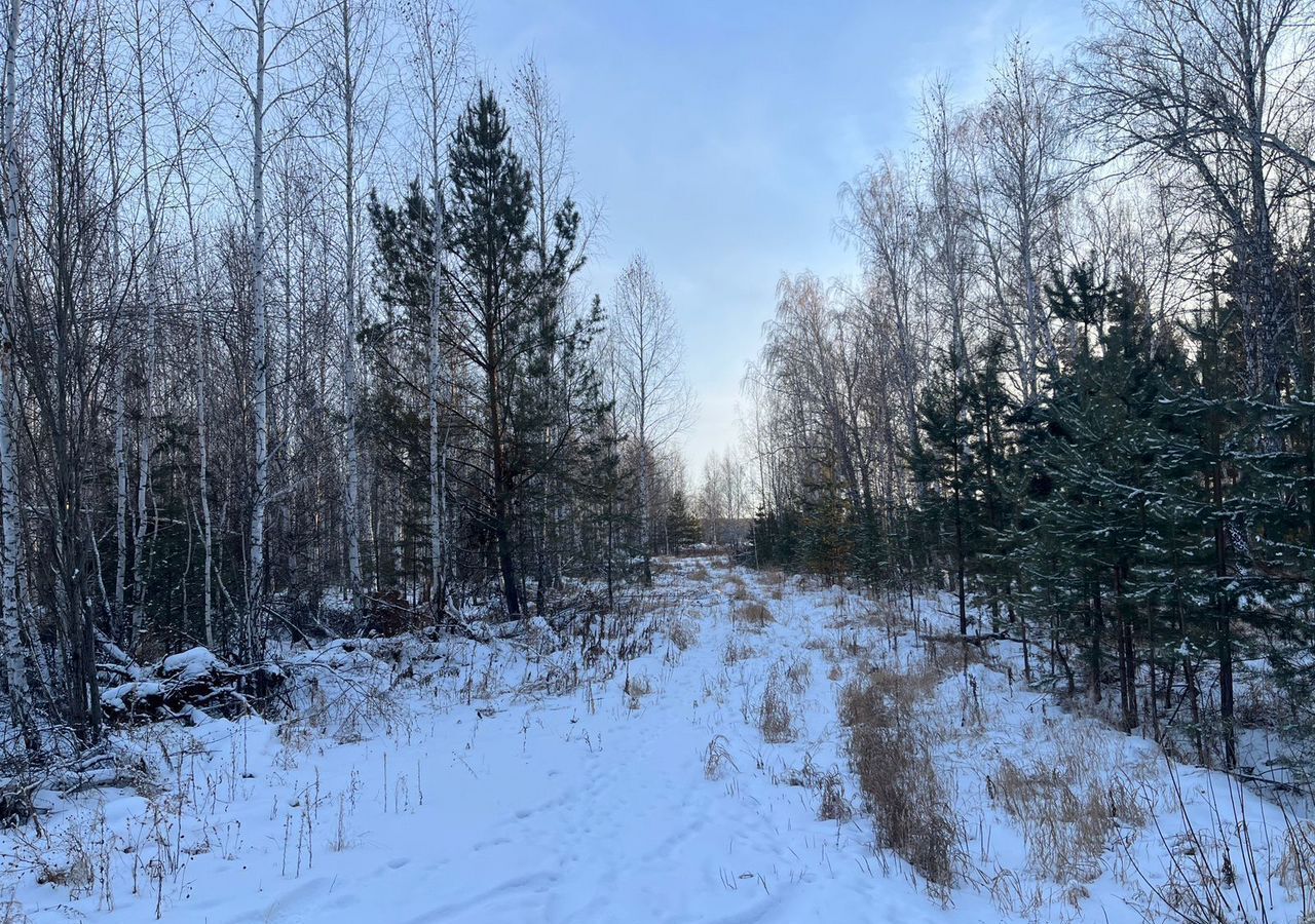 дом р-н Сосновский с Кременкуль Кременкульское сельское поселение, Челябинск фото 9