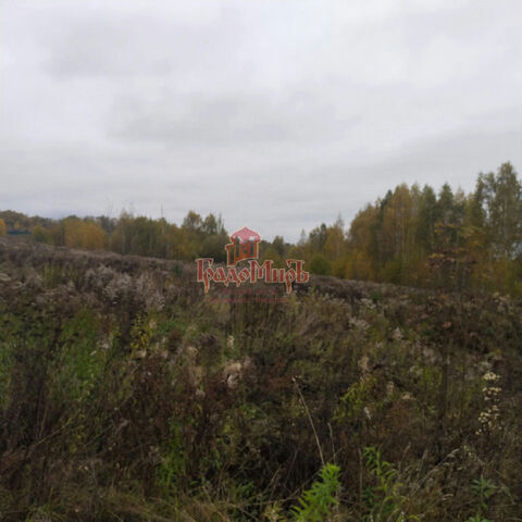 снт Каменный Ручей фото